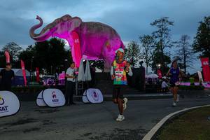 BIB: 
                            <button type="button" onclick="openModal(26529696)" class="btn btn-primary btn-sm float-right btn-popup" data-toggle="modal" data-target=".modal-high-quality">
                        <i class="fas fa-shopping-cart"></i> Add to Cart
                    </button>
                                            <button type="button" onclick="isThisMe(26529696, true)" class="btn btn-success btn-sm float-right btn-popup btn-isme hidden" data-toggle="tooltip" data-placement="bottom" title="นี่คือรูปของคุณใช่ไหม คลิกที่นี่เพื่อเอาเข้าอัลบั้ม">
                        <i class="fas fa-plus"></i> Add to album
                    </button>
                    <button type="button" onclick="isThisMe(26529696, false)" class="btn btn-warning btn-sm float-right btn-popup btn-isnotme hidden">
                        <i class="fas fa-ban"></i> Remove from album
                    </button>